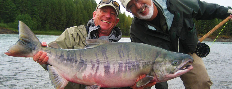 NEAR-RECORD CHUM SALMON
